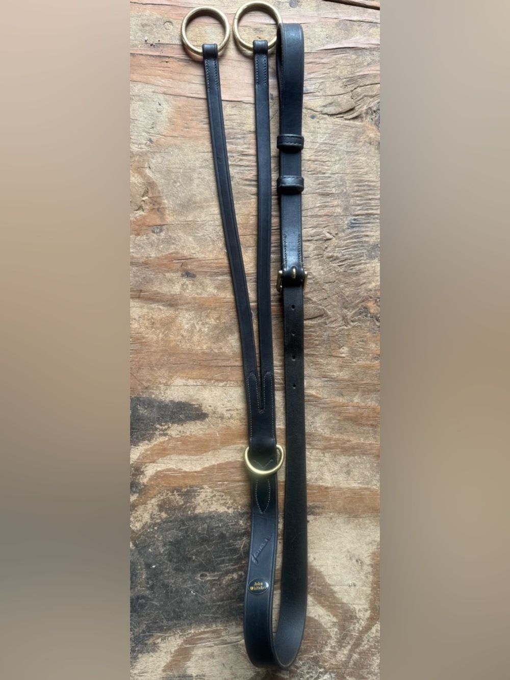 John Whitaker running martingale